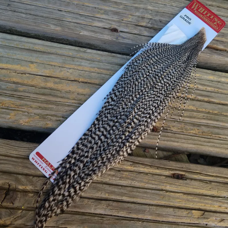 Whiting 1/2 Pro-Grade Dry Fly Rooster Cape in Grizzly